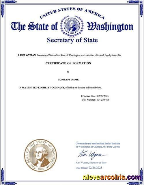 USA certificate of formation
